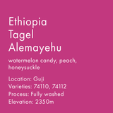 Ethiopia Tagel Alemayehu