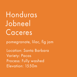 Honduras Jobneel Caceres