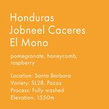 Honduras Jobneel Caceres El Mono