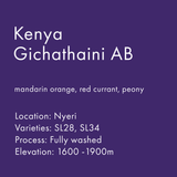 Kenya Gichathaini AB