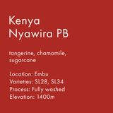 Kenya Nyawira PB