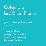 Colombia Luz Divia Fierro