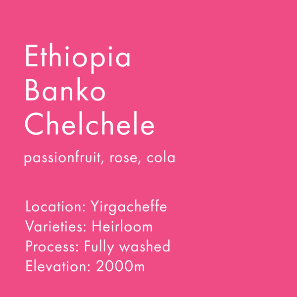 Ethiopia Banko Chelchele