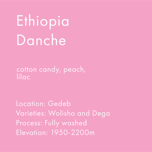 Ethiopia Danche