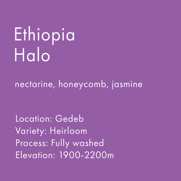 Ethiopia Halo
