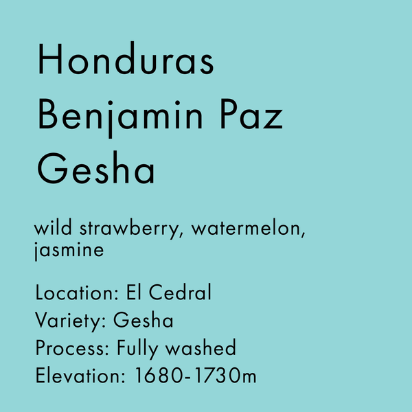 Honduras Benjamin Paz Gesha