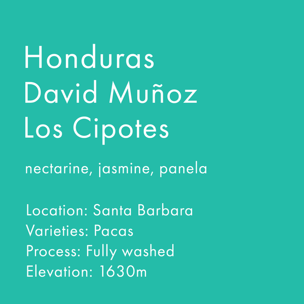 Honduras David Muñoz Los Cipotes