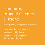 Honduras Jobneel Caceres El Mono