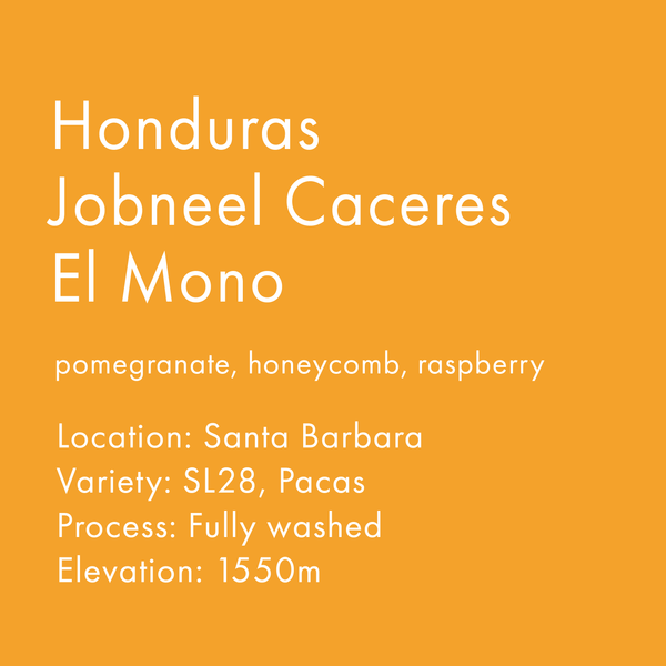 Honduras Jobneel Caceres El Mono