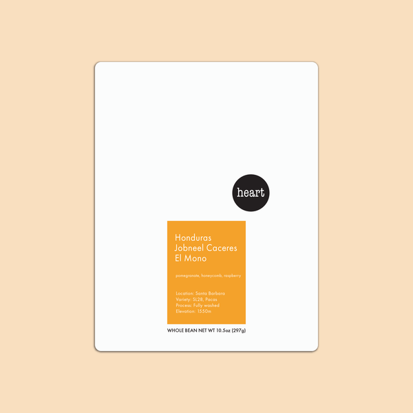 Honduras Jobneel Caceres El Mono