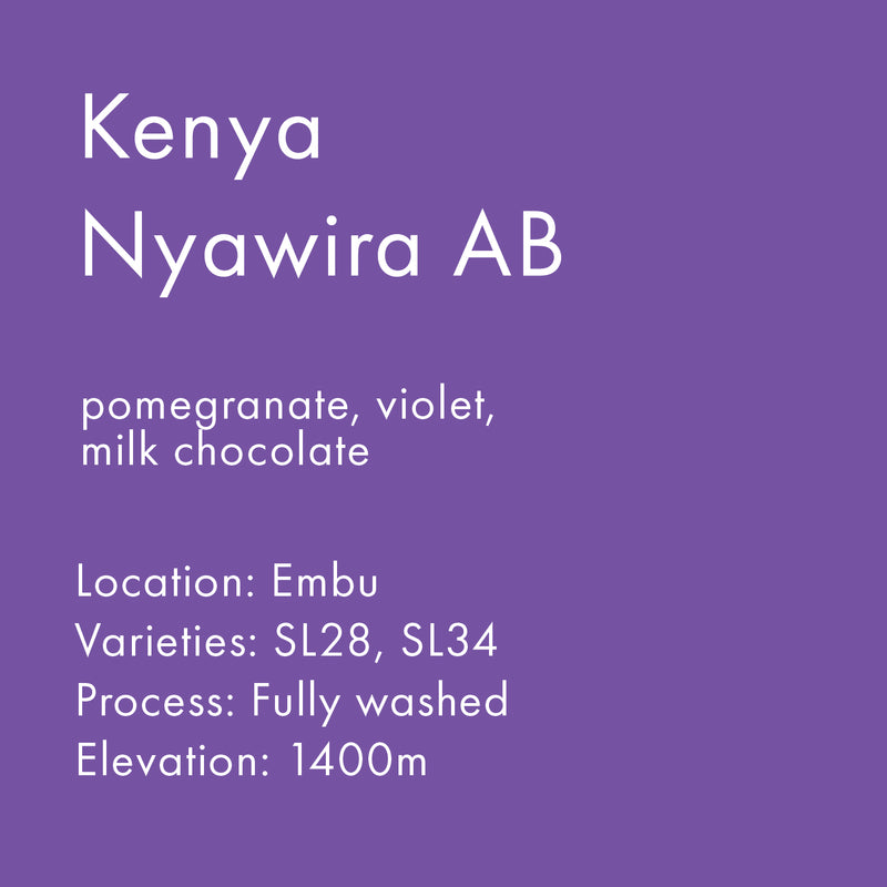Kenya Nyawira AB