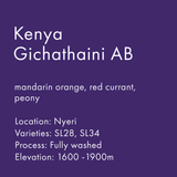 Kenya Gichathaini AB