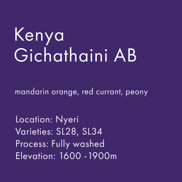 Kenya Gichathaini AB