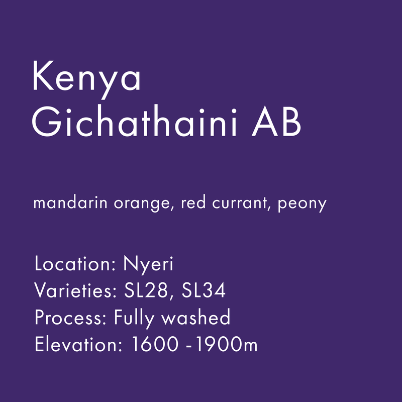 Kenya Gichathaini AB