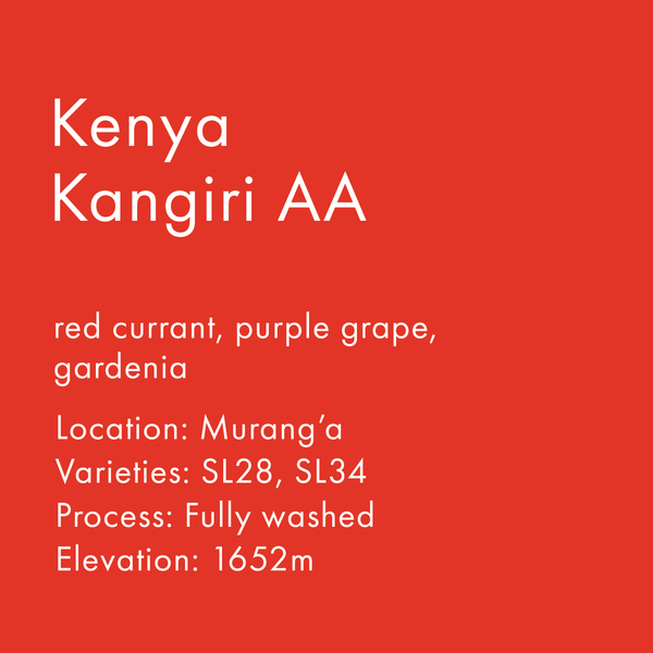 Kenya Kangiri AA