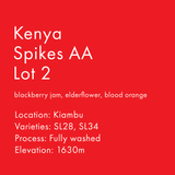 Kenya Spikes AA