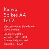 Kenya Spikes AA