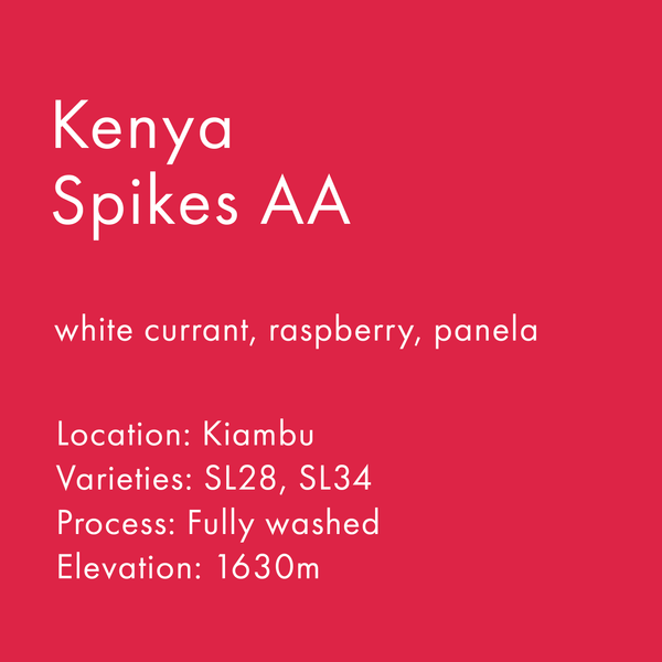 Kenya Spikes AA