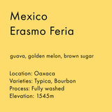 Mexico Erasmo Feria
