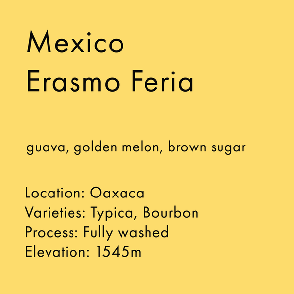 Mexico Erasmo Feria