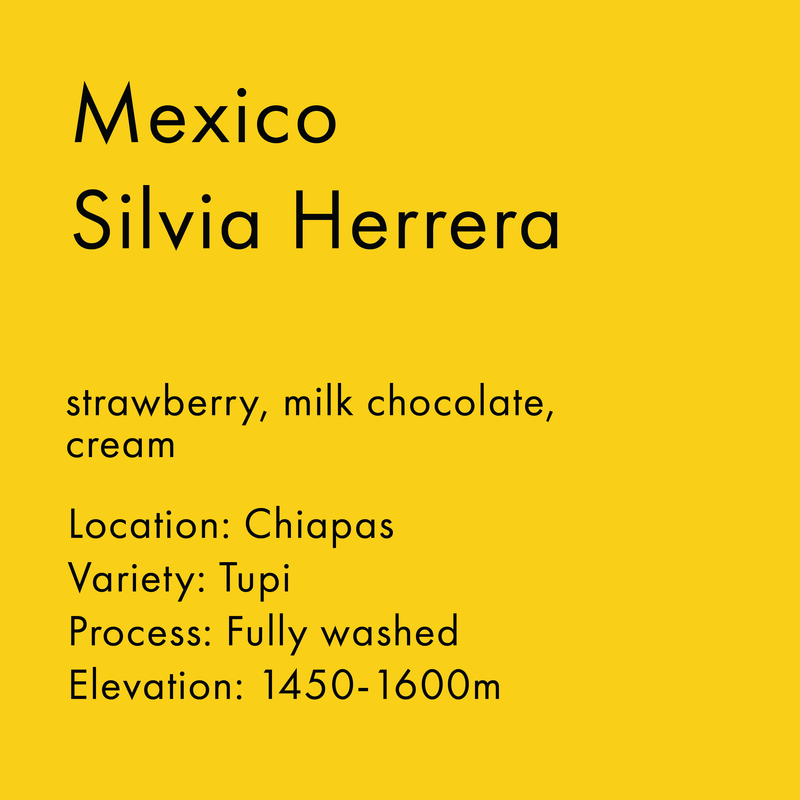 Mexico Silvia Herrera