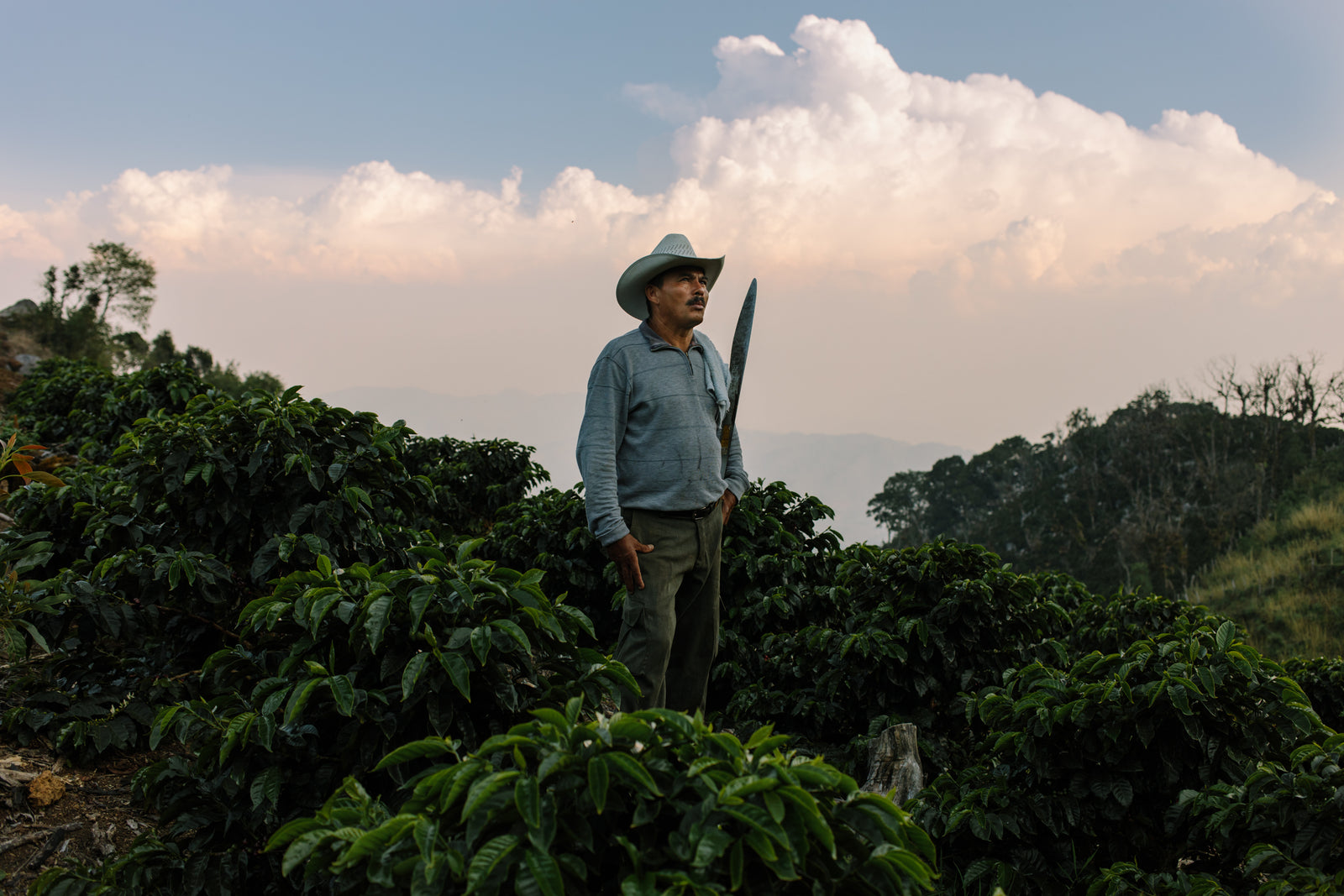 【7インチレコード】イハラカンタロウ　kantro ihara シールド Honduras Ramon Hernandez – Heart Coffee Roasters