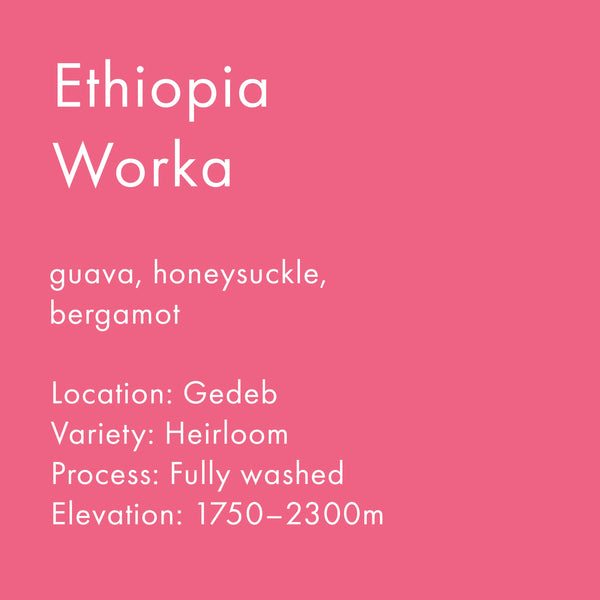 Ethiopia Worka