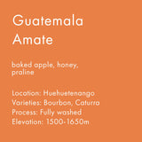 Guatemala Amate