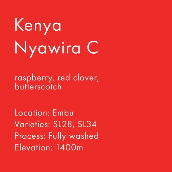 Kenya Nyawira C