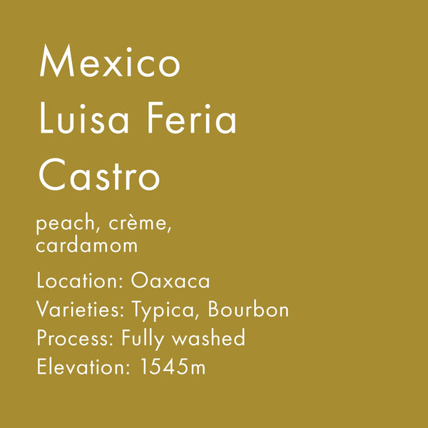 Mexico Luisa Feria Castro