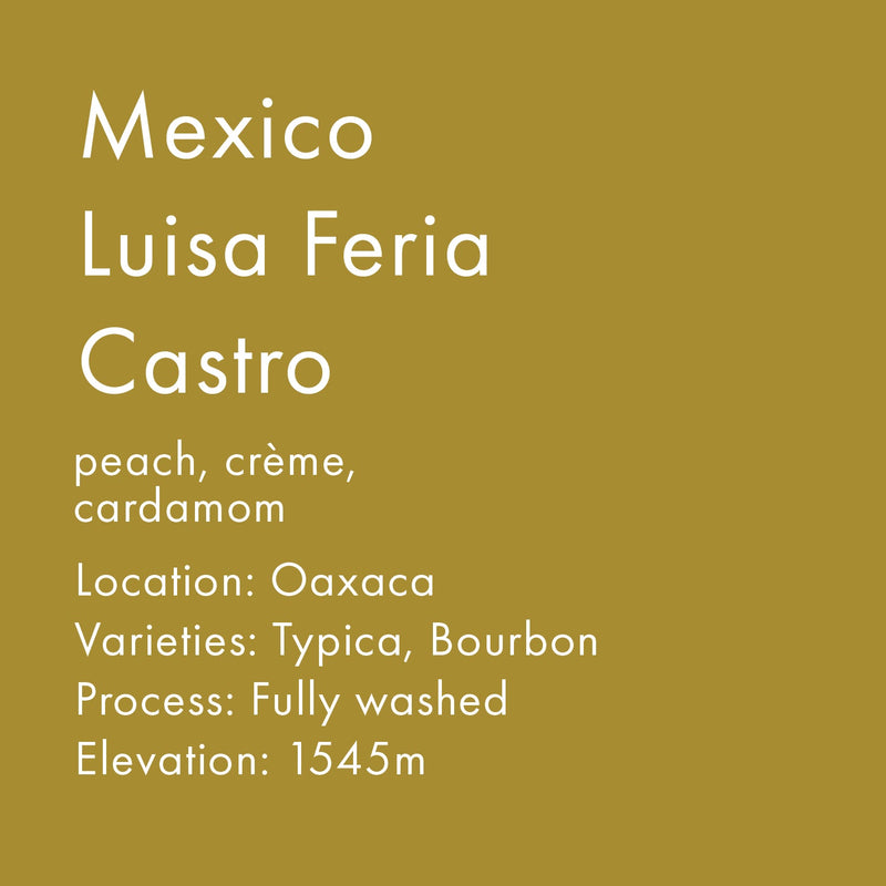 Mexico Luisa Feria Castro